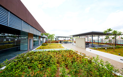 Gambas Crescent (D27), Factory #524245521